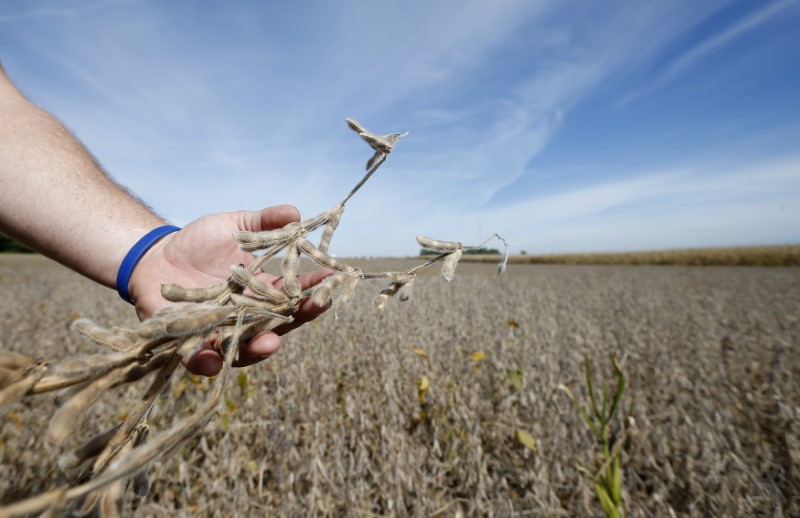 &copy; Reuters.  Startups fecham negócios de olho na diminuição de carbono no agro