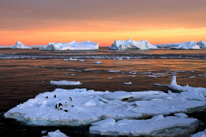 © Reuters. Pequenas plataformas de gelo na baía de Fournier, Antártica