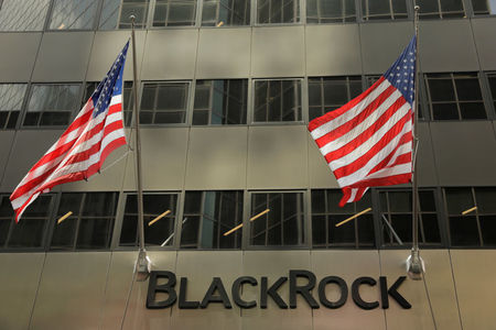 BlackRock Capital reports dip in Q4 net investment income