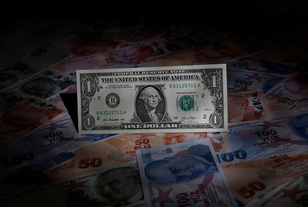 الدولار يصل قمة تاريخية جديدة أمام الليرة التركية