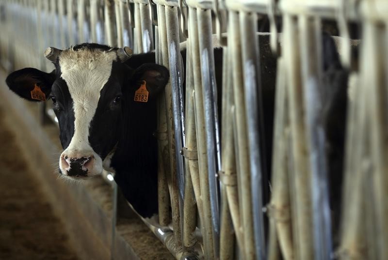 Global dairy prices fall 3.4 percent at fortnightly auction