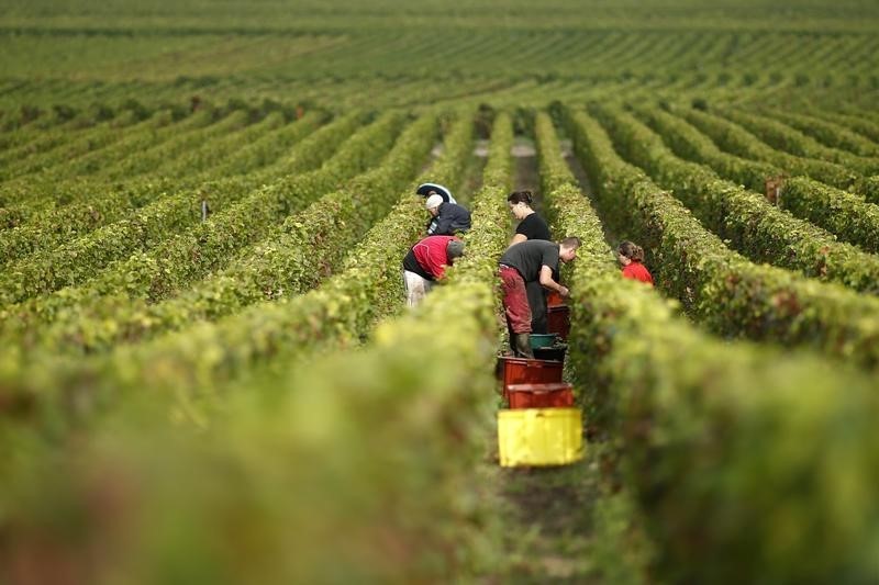 &copy; Reuters.  BRIEF-Treasury Wine Estates announces acquisition of Diageo's wine business