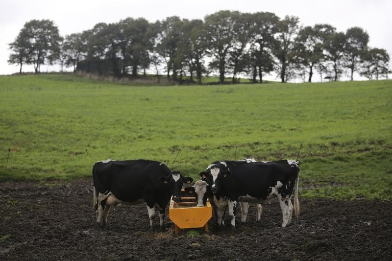 &copy; Reuters.  Facing TPP dairy deluge, Vietnam milk firms shift strategy to survive