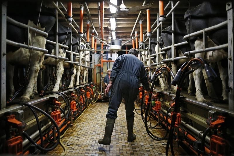 &copy; Reuters.  UPDATE 1-TPP trade deal to pressure Canada dairy farmers - Saputo