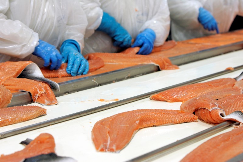 &copy; Reuters.  Norway salmon biomass up 10 pct yr/yr in Oct -Seafood Norway
