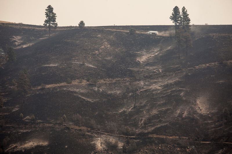 &copy; Reuters.  Mais de 1,5 mil pessoas são removidas devido a incêndios florestais no sul da Espanha