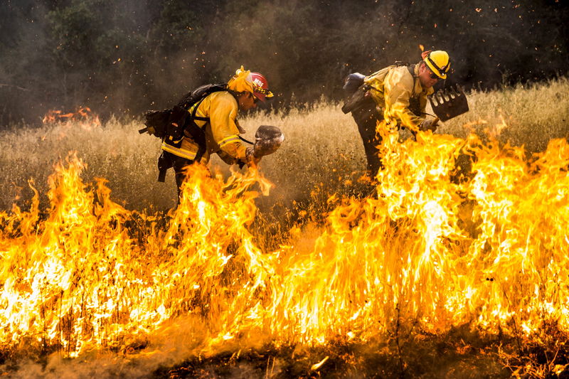 &copy; Reuters.  Chuvas podem dificultar buscas por vítimas de incêndios na Califórnia