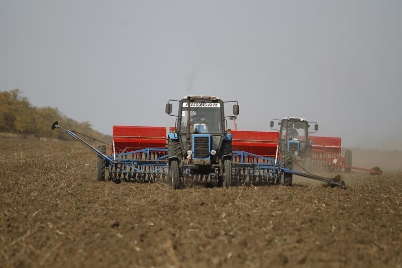 &copy; Reuters.  Причиной падения цен на российскую пшеницу до $238 за тонну стал низкий спрос - эксперты
