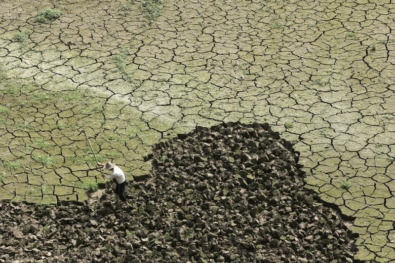 &copy; Reuters.  Prolonged Australian dry spell threatens agricultural output
