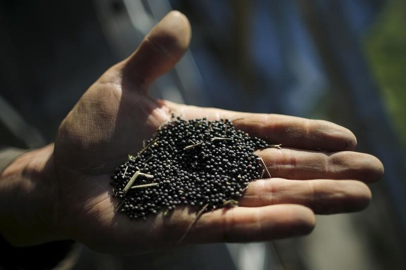 &copy; Reuters.  French seed firm Vilmorin maintains some Iran sales, awaits EU scheme