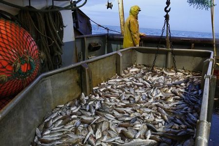 SalMar earnings slump in Q2 on weaker salmon prices, outlook lifted