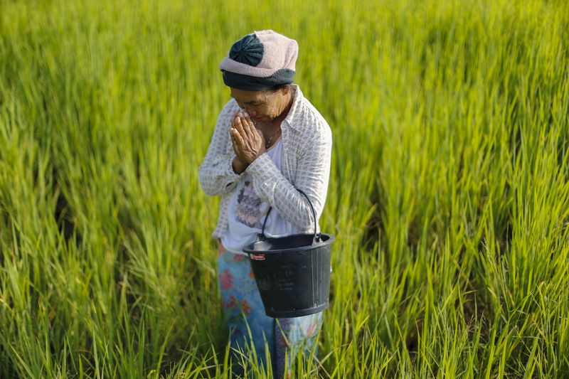 &copy; Reuters.  बुद्ध के महाप्रसाद काला नमक चावल की खुशबू से महक रहा यूपी का राजभवन