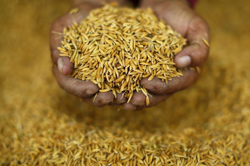 &copy; Reuters.  RS colheu 22,5% da área semeada de arroz em 2023/24, afirma Irga
