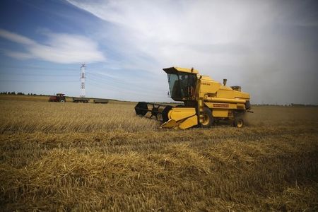 С 23 ноября экспортная пошлина на пшеницу из РФ снизится на 6,4%, на ячмень - на 9,6%, на кукурузу - в 2,3 раза