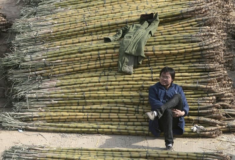 &copy; Reuters.  India sugar mills struggling to export surplus as overseas prices fall 