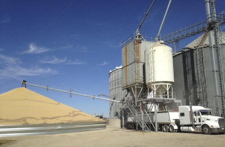&copy; Reuters.  Céleres reduz em 10% estimativa da 2ª safra de milho do Brasil por seca