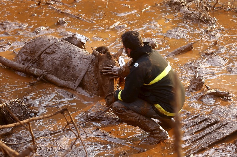 &copy; Reuters.  UPDATE 2-Mud from Brazil dam burst is toxic, UN says