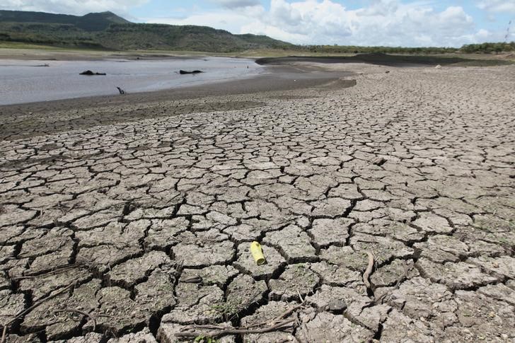 &copy; Reuters.  El Nino declining, to return to neutral by Q2