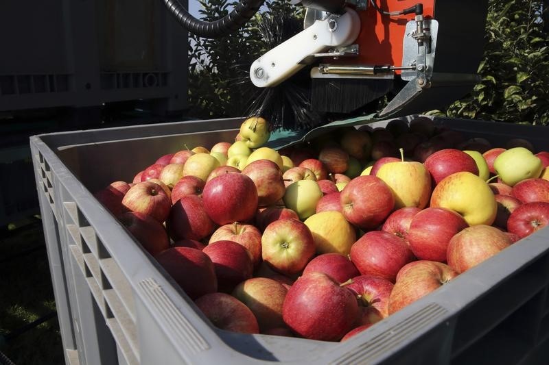 &copy; Reuters.  Primer mercado de futuros de manzanas del mundo inicia su actividad en China