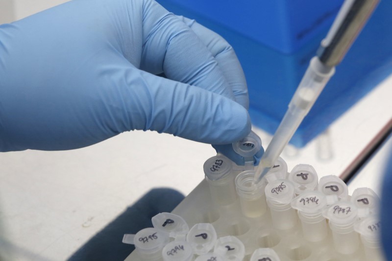 &copy; Reuters.  Vacina contra o Zika se mostra promissora em teste com ratos