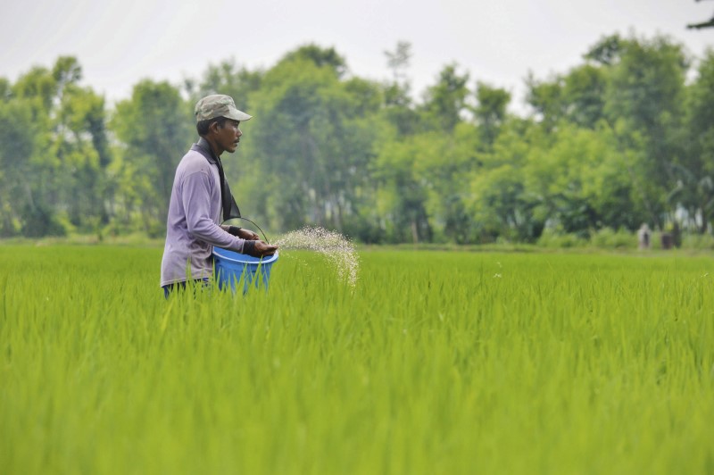 &copy; Reuters.  Paulo Teixeira: Notícia boa da safra 2023/24 é aumento da produção de arroz e feijão