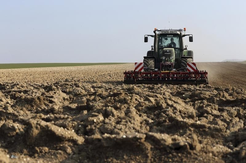 俄羅斯稱無意阻攔烏克蘭穀物出口，三大農產品期貨全線走低