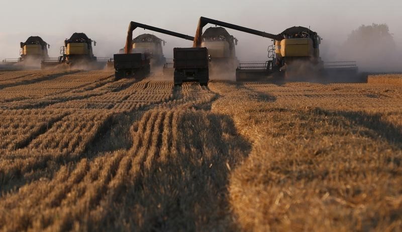 Экспорт пшеницы из РФ в ноябре составил около 2,95 млн т, что ниже среднего для этого месяца за 5 лет - эксперты
