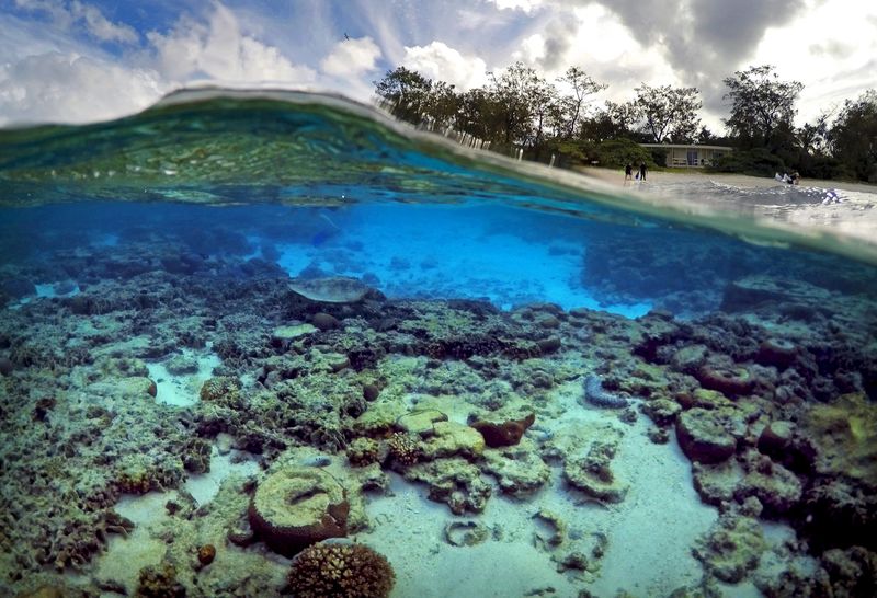 &copy; Reuters.  Great Barrier Reef will never be as pristine as it once was - scientists 