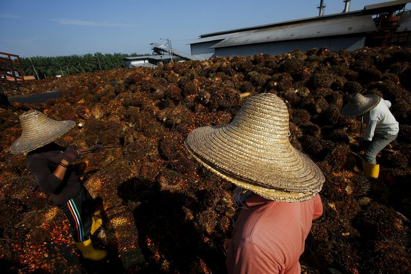 &copy; Reuters.  印度调降毛棕榈油进口税率 以遏制国内食品通胀
