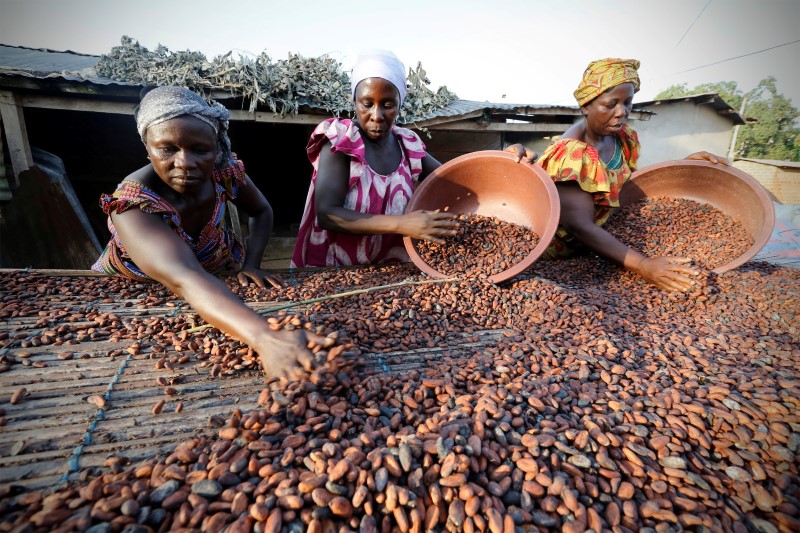 &copy; Reuters.  ALIMENTOS-Cacao sube a máximo de 11 meses debido a que productores fijan precio mínimo