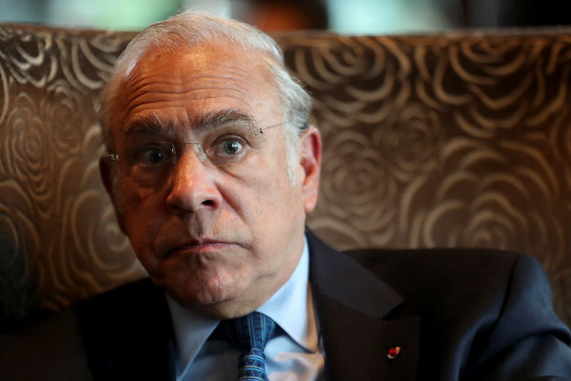 &copy; Reuters.  OECD&#39;s Gurria Won&#39;t Get Caught Up in Confidence `Rollercoaster&#39;