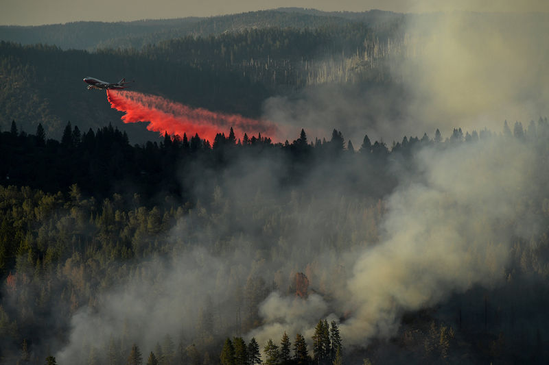 &copy; Reuters.  Tarım ve Orman Bakanlığı, orman yangınlarında kullanmak için uçak ihale sürecinin başladığını bildirdi