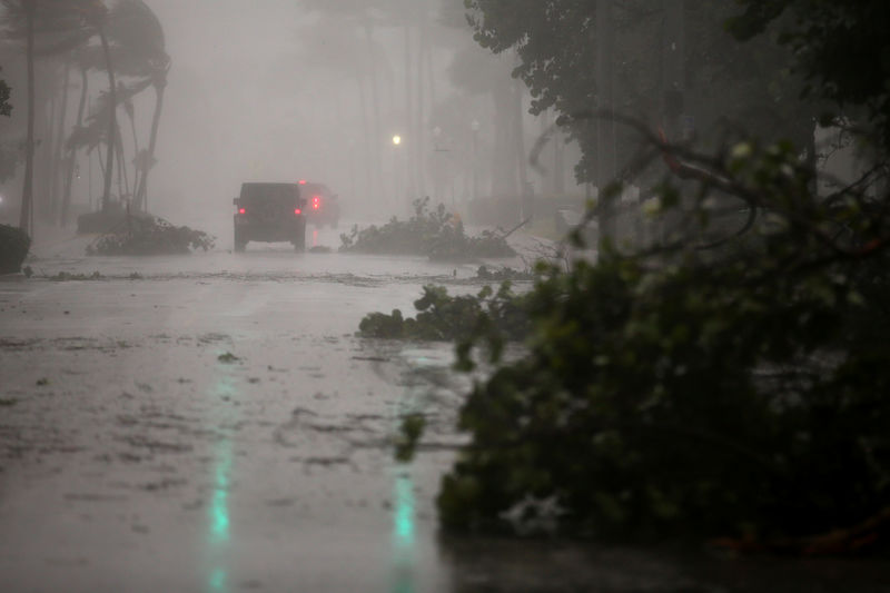 Factbox: Hurricane season U.S. stocks to watch