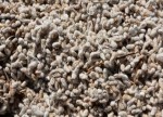 Indian Textile Stocks Rally As US Tariffs Hit Rivals: SEBI RA Sees Upside In These Three Picks