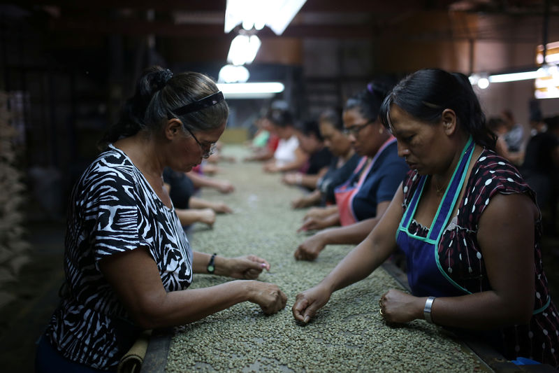 Traders reroute coffee bound to Russia, demand hit from war seen