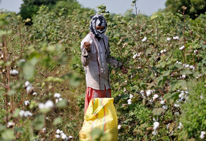 &copy; Reuters.  DEVA Partili Ekmen mevsimlik tarım işçilerinin sorunlarını hatırlattı