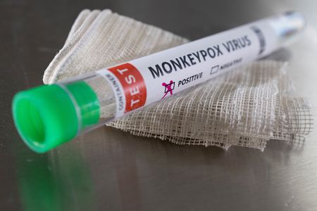 Varíola dos macacos: quais ações subiram por medicamentos e vacinas?