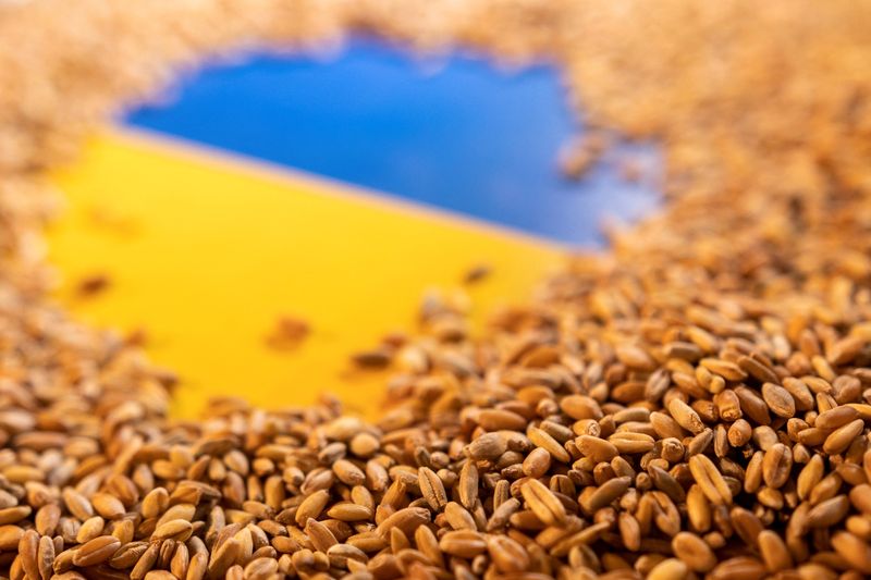 Bulgariens Landwirte: Stoppt Getreideimporte aus der Ukraine