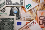 Dollar rises as COVID concerns spark flight to safety