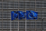EU eyes tighter rules for 'renewable' biomass energy - draft