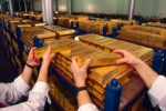 Giá vàng thế giới có thể tăng đến đâu sau 3 tuần lên mạnh?