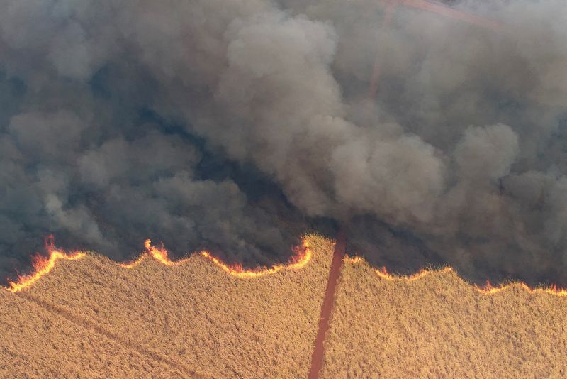 &copy; Reuters Governo usará mais de R$ 500 mi fora da meta contra incêndios