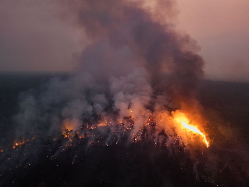 &copy; Reuters CNM: incêndios florestais afetam 18,9 mi de pessoas e resultam em R$ 2 bi de prejuízo