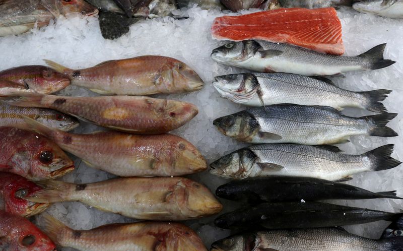 &copy; Reuters Egito aprova importação de pescados e derivados do Brasil