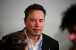 Musk says TSMC and Samsung to work on Tesla AI chip, no plans to ditch Nvidia