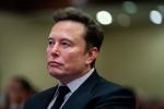 Le retour de Musk en politique fait trembler Tesla : Sur quelles techs se reporter ?