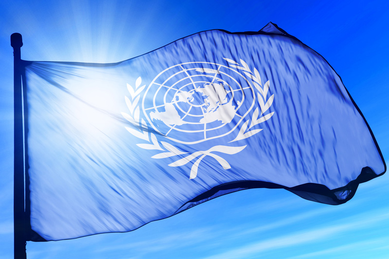 U.N. urges sustained effort to improve flagging development