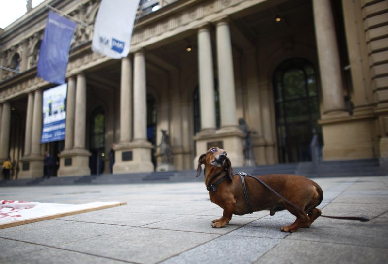 &copy; Reuters. The dachshund of a demonstrator is seen in front of Frankfurt's stock exchange, September 15, 2010. Some hundred people suffering from the bust of the Lehman Brothers two years ago gather in Frankfurt to demonstrate against the financial and banking syste