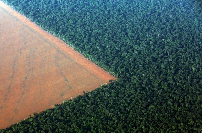 © Reuters. Fronteira entre floresta amazônica e área de produção de soja em Mato Grosso 
04/10/2015
REUTERS/Paulo Whitaker