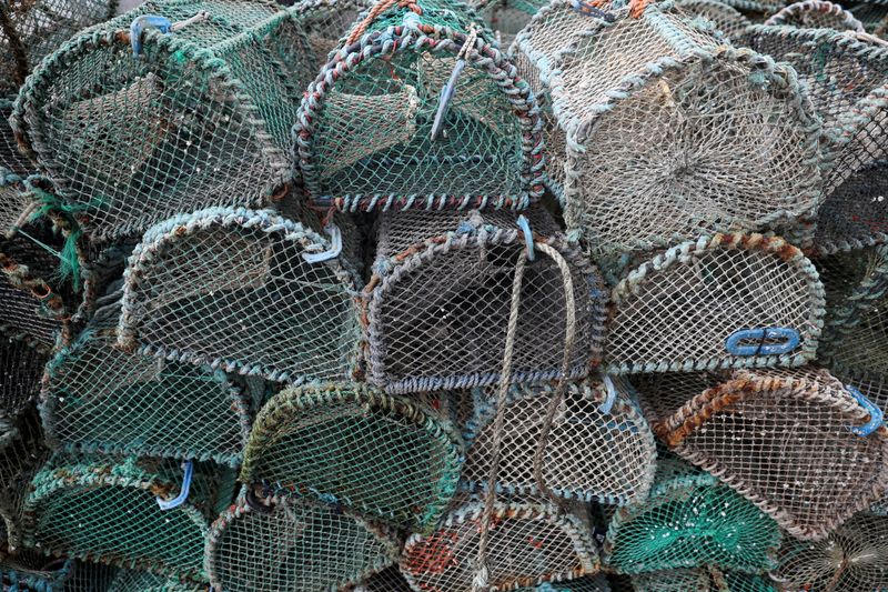 &copy; Reuters. FILE PHOTO: Fishing creels are seen near Oban in Scotland, Britain, January 8, 2021. REUTERS/Russell Cheyne/File Photo